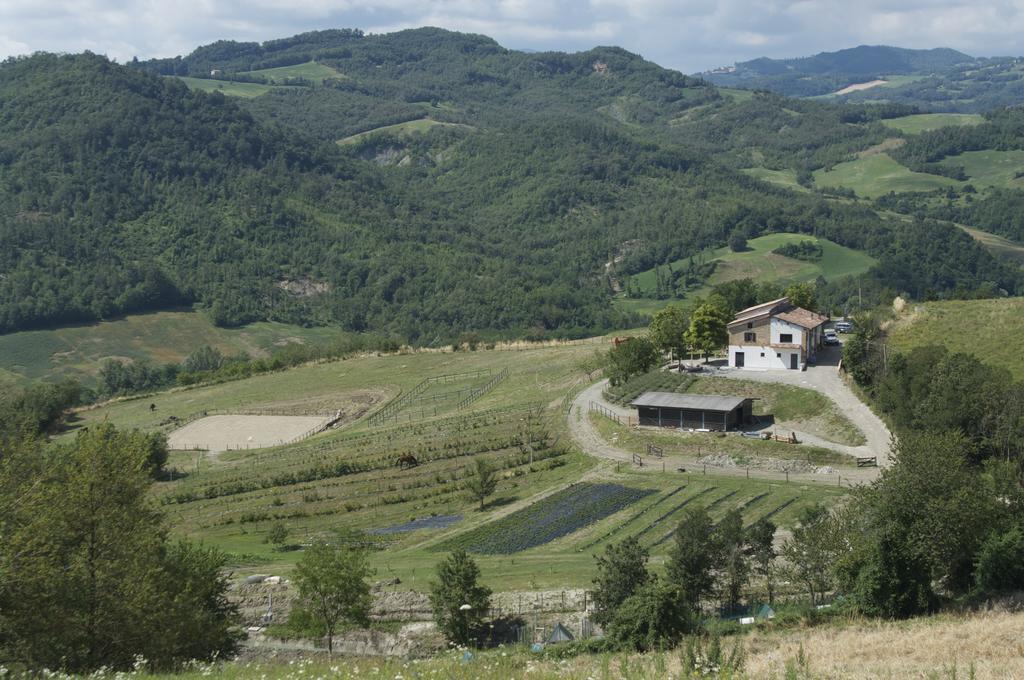 B&B Villa Rossana Langhirano Exterior photo