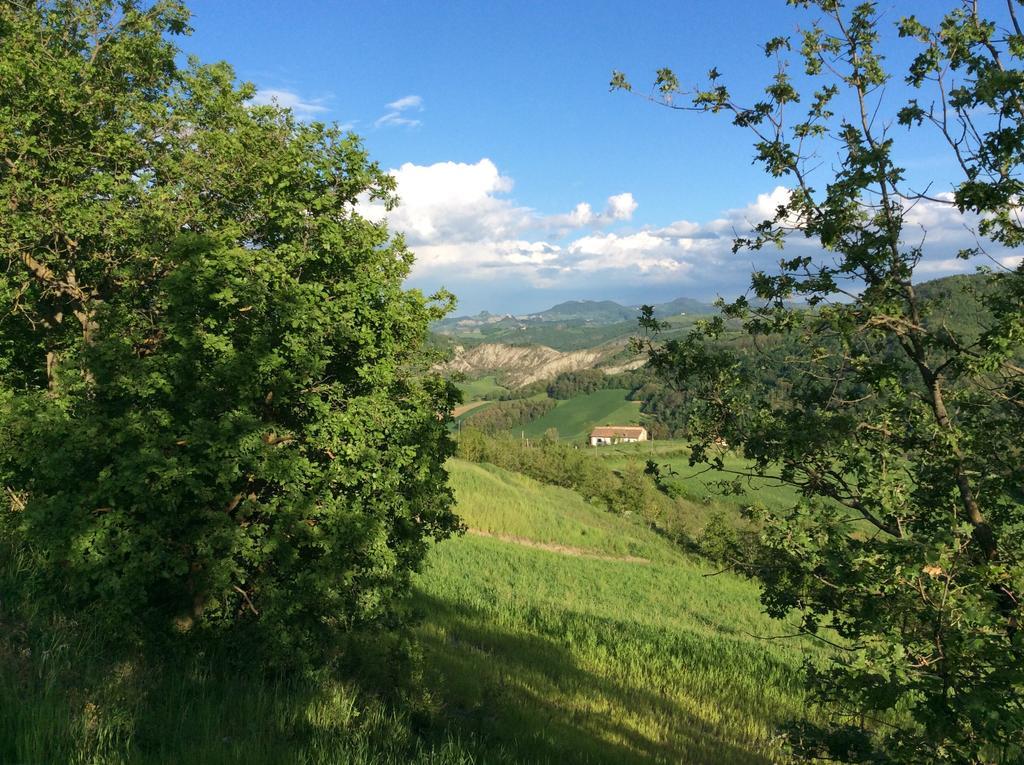 B&B Villa Rossana Langhirano Exterior photo