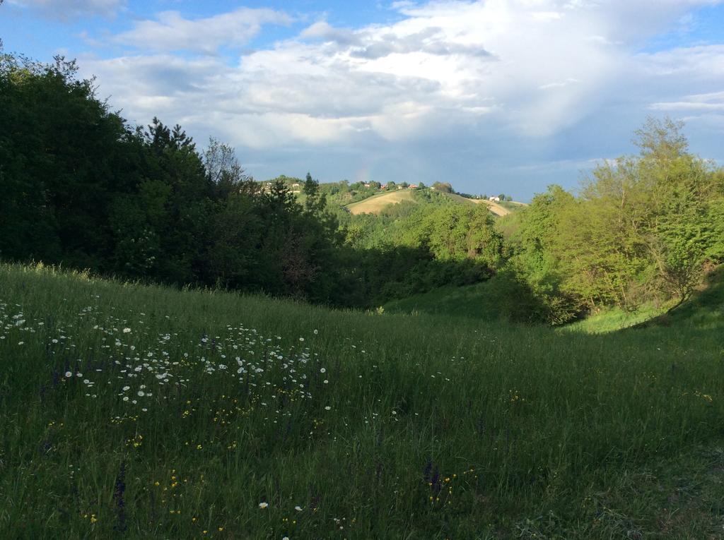 B&B Villa Rossana Langhirano Exterior photo