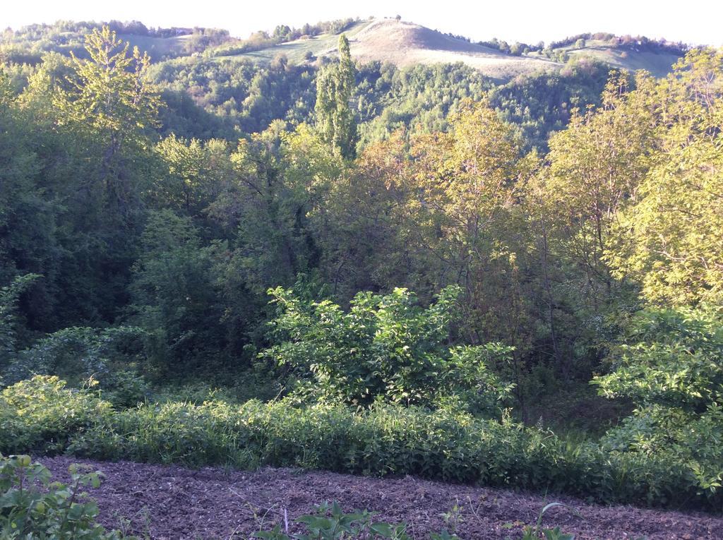 B&B Villa Rossana Langhirano Exterior photo
